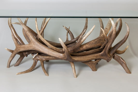 Elk Antler Coffee Table