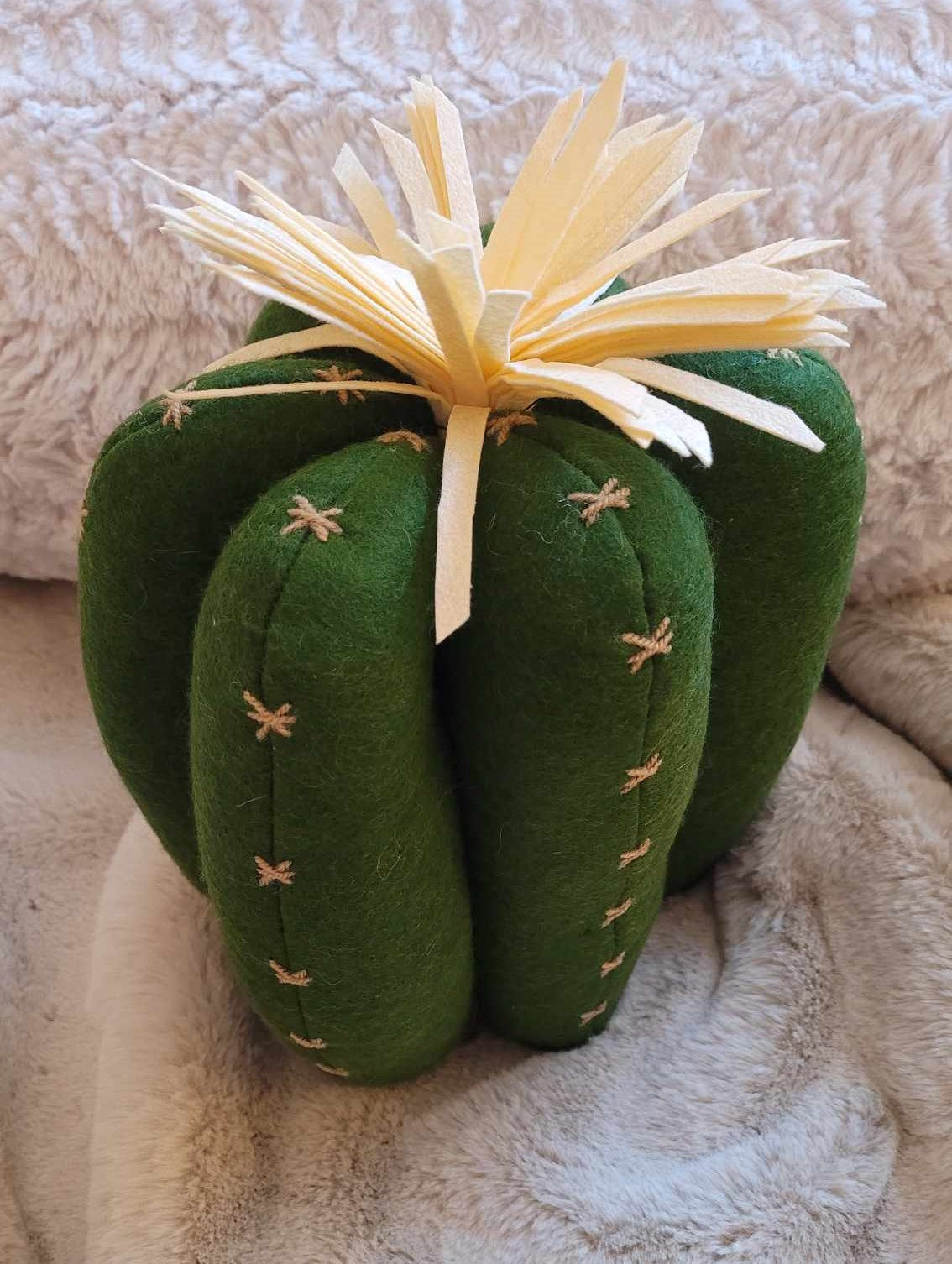 western cactus pillow