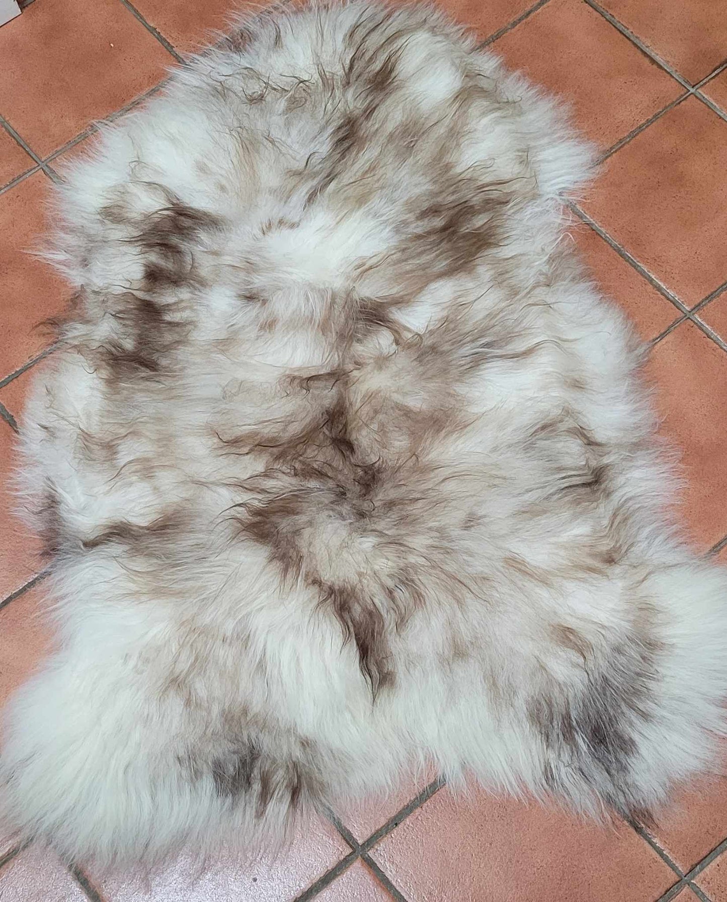 Mouflon Brown Natural Island Sheepskin