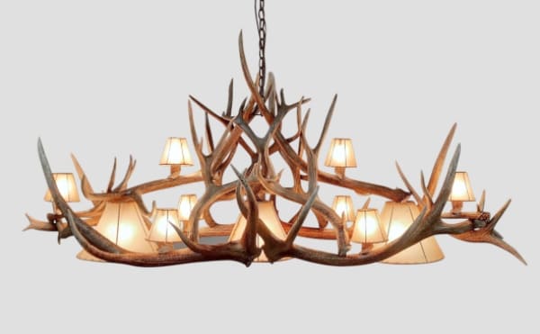 Mt Belford Elk & Mule Deer Chandelier