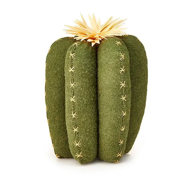 western cactus pillow