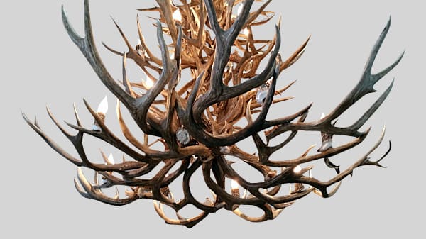 Aspen Series Mule Deer Antler Chandelier