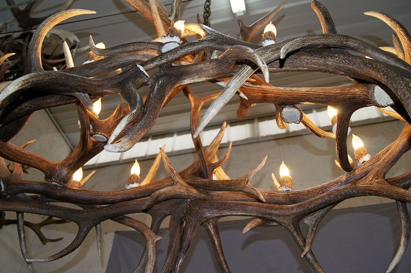 Hayman Series Elk Antler Chandeliers