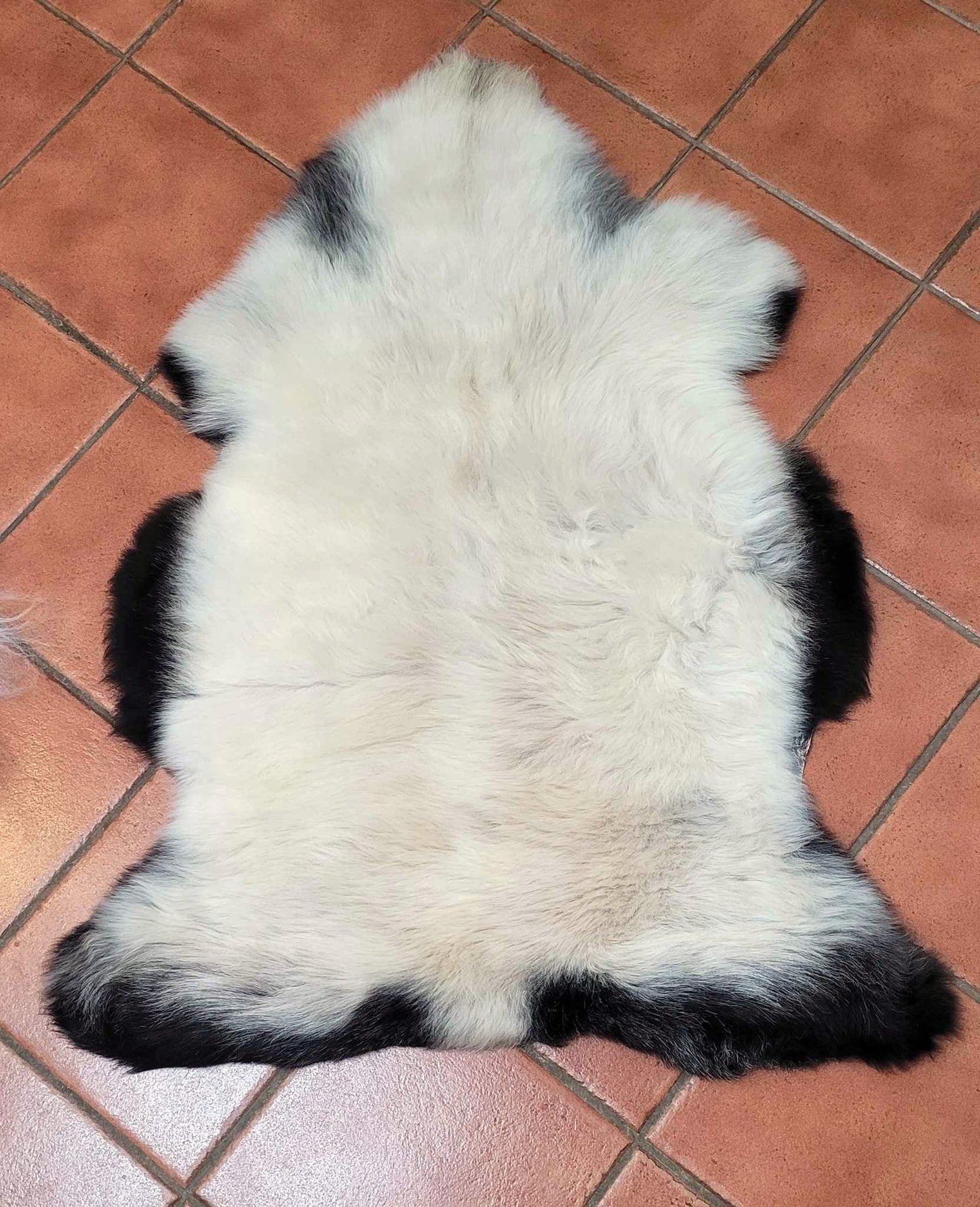 Natural Sheepskin White and Black