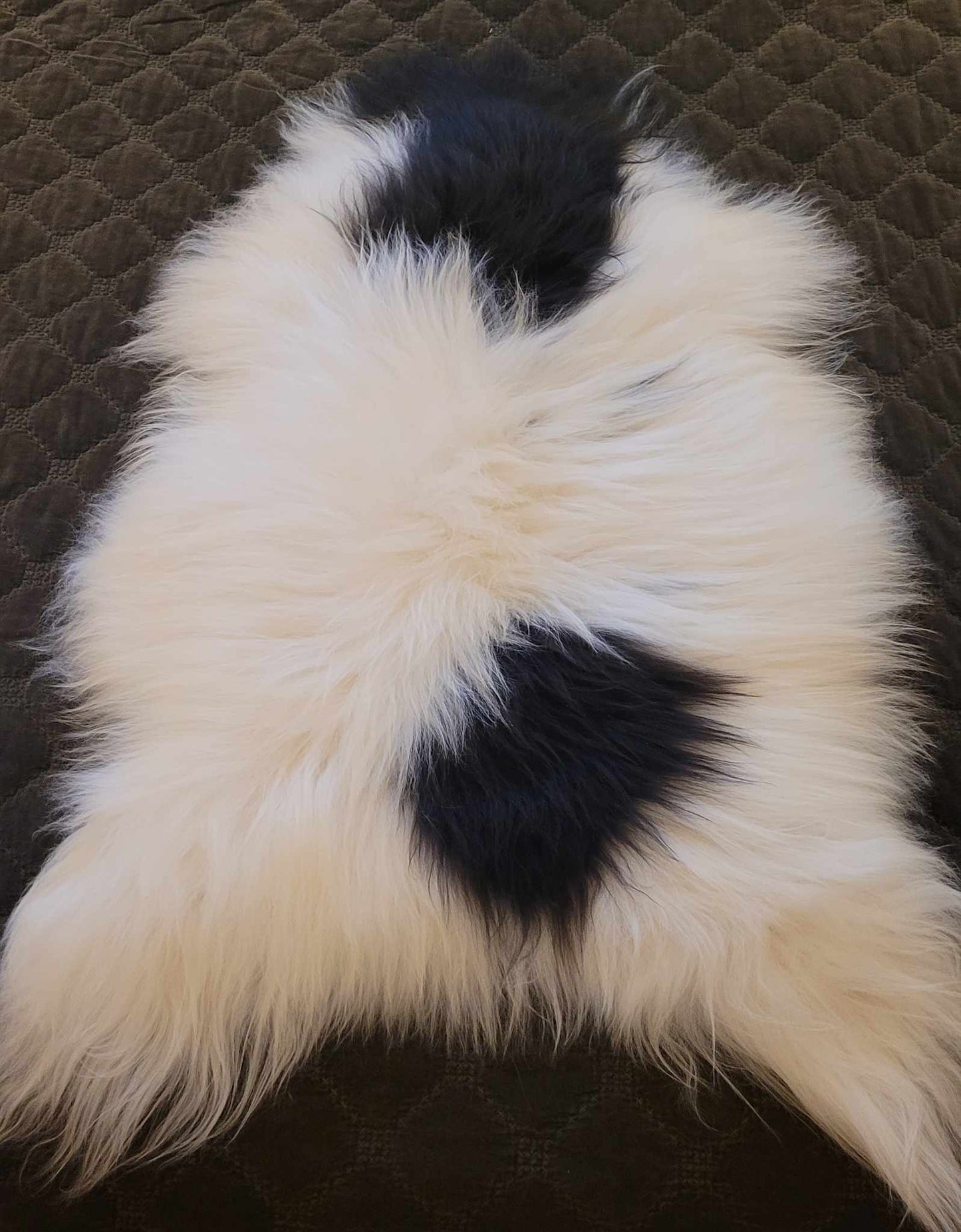 Longhair Icelandic Sheepskin Rug