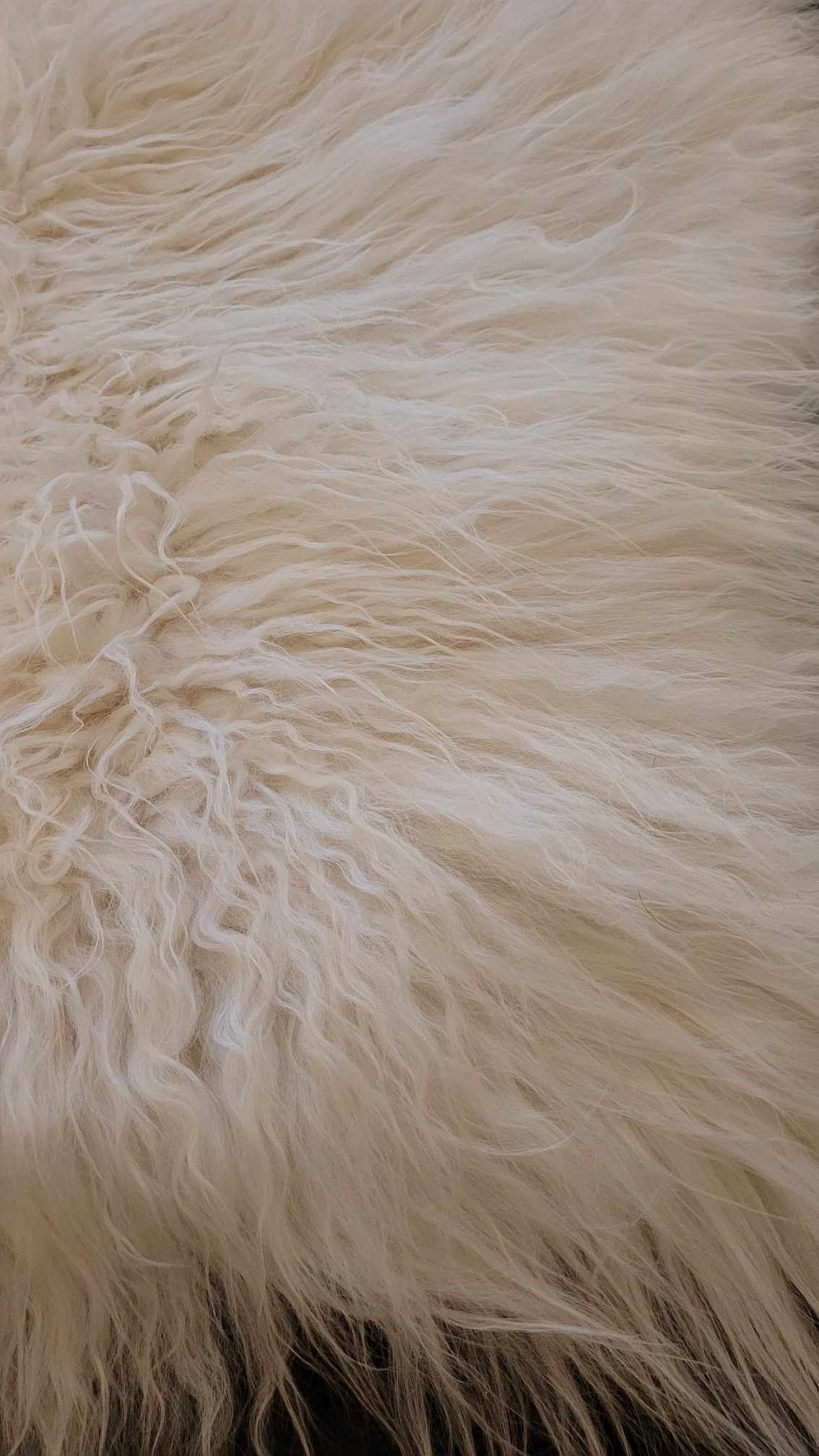 White Icelandic Sheepskin